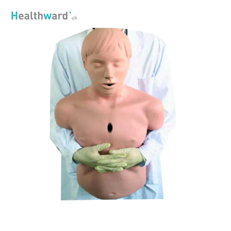 HWB-6A008 Medical Appliances Half-Body Cpr Training Manikin
